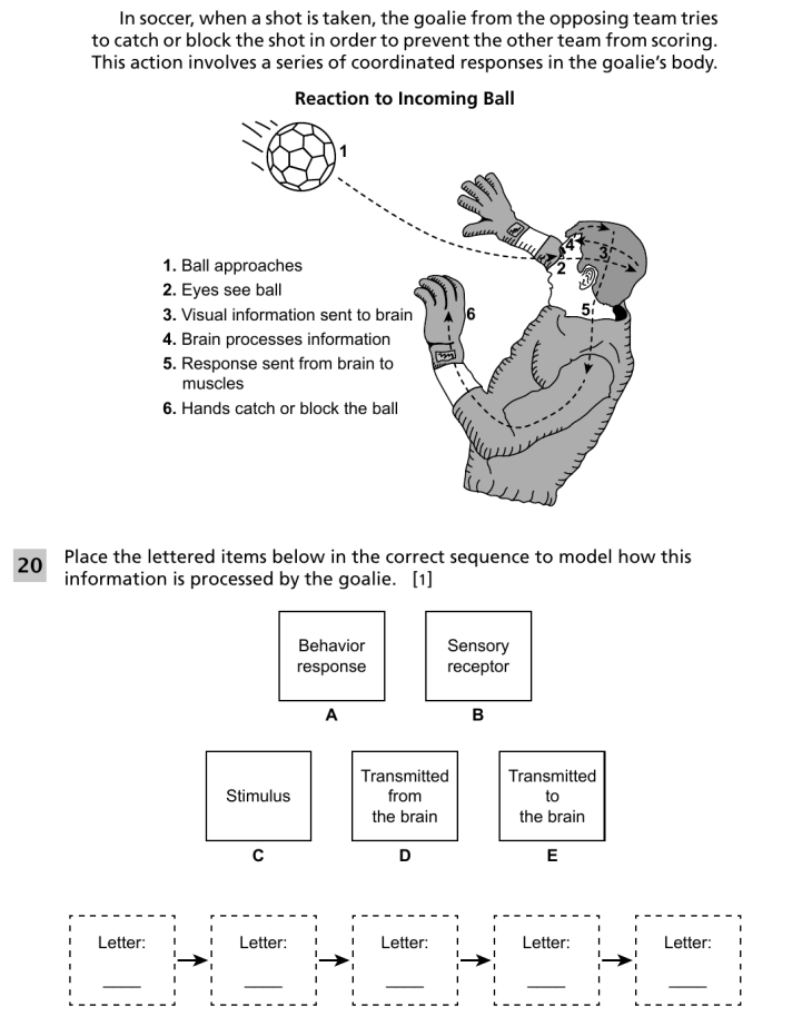 Question 2