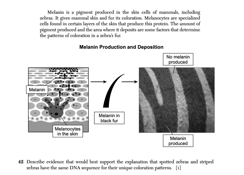 File:Biology Ja26 42.png