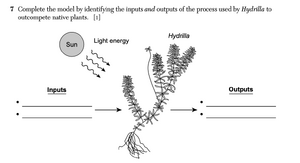 Biology Ja26 7.png