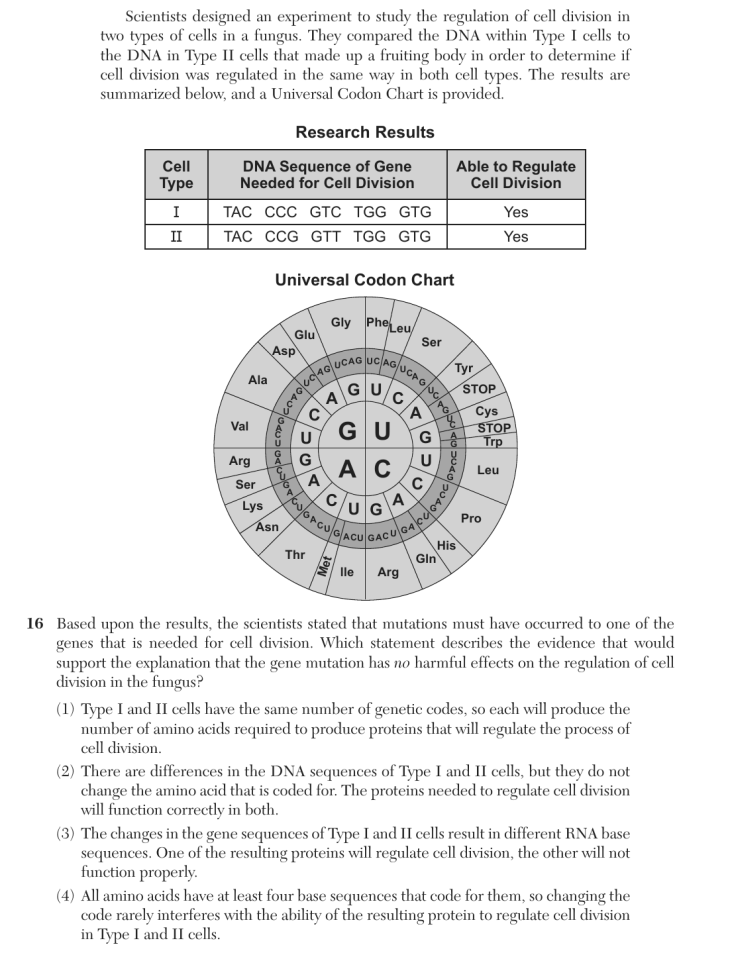 Question 4