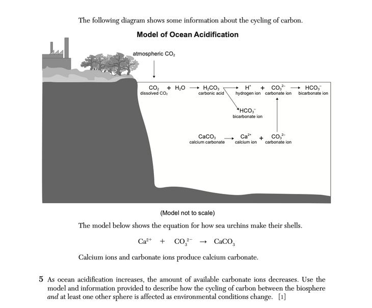 Question 5