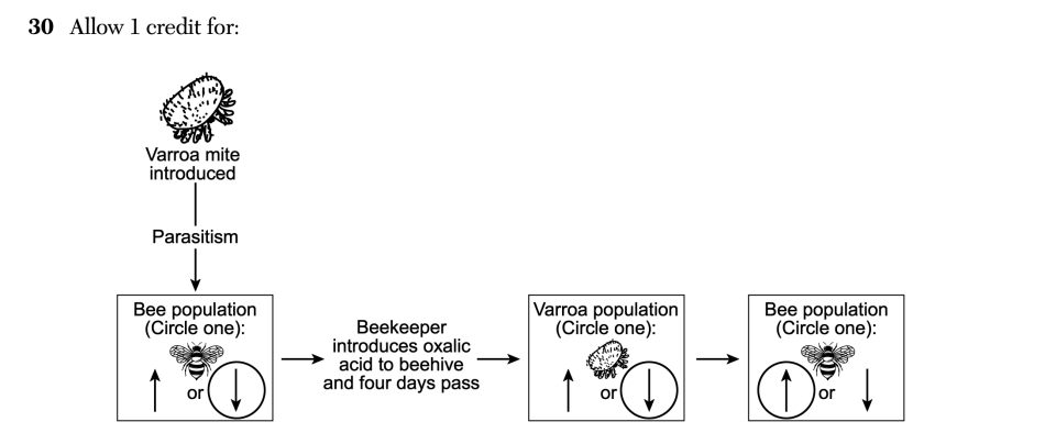 Answer key: January 2026 Biology Regents question 30, Honeybee Behavior and Threats cluster