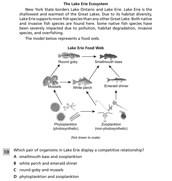 File:Lake erie ecosystem 1.png