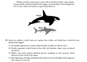 Biology Au25 34.png