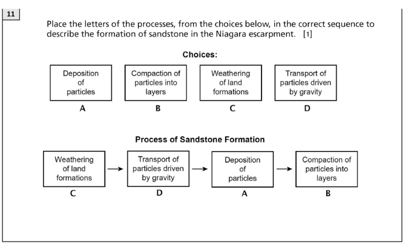 File:MS June 2026 answer 11.png