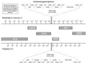 The Electromagnetic Spectrum.png