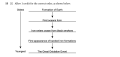 Thumbnail for version as of 09:40, 9 June 2026