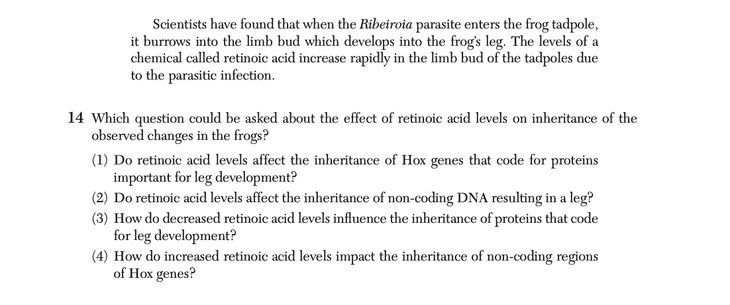 Question 4