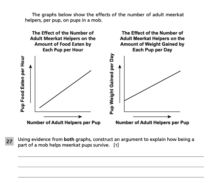 File:5-6 Meerkats Question 27.png