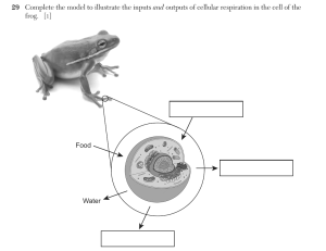 Biology Au26 29.png
