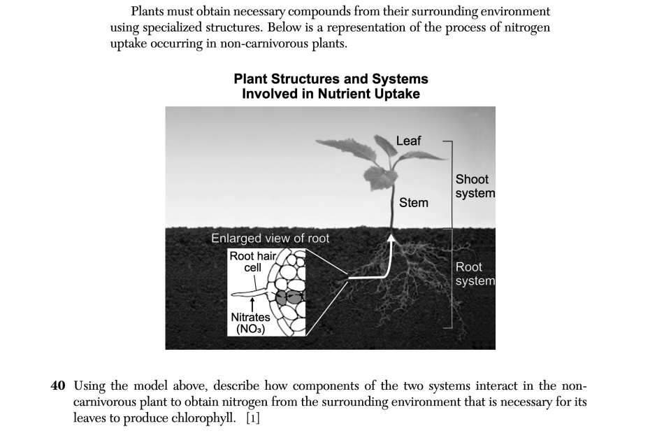 January 2026 Biology Regents question 40, Purple Insect Eater cluster