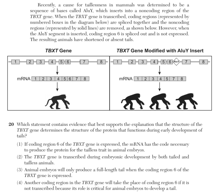 Question 2