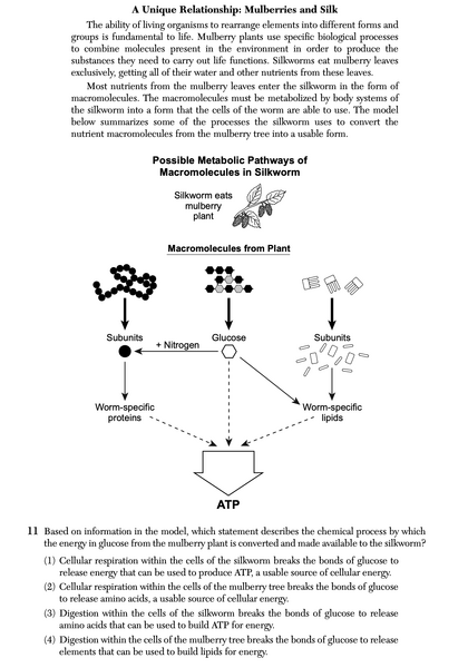File:Biology Au25 11.png