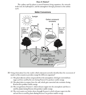 Biology Ju25 33.png