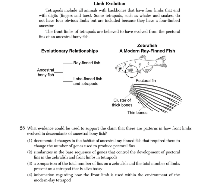 Question 1