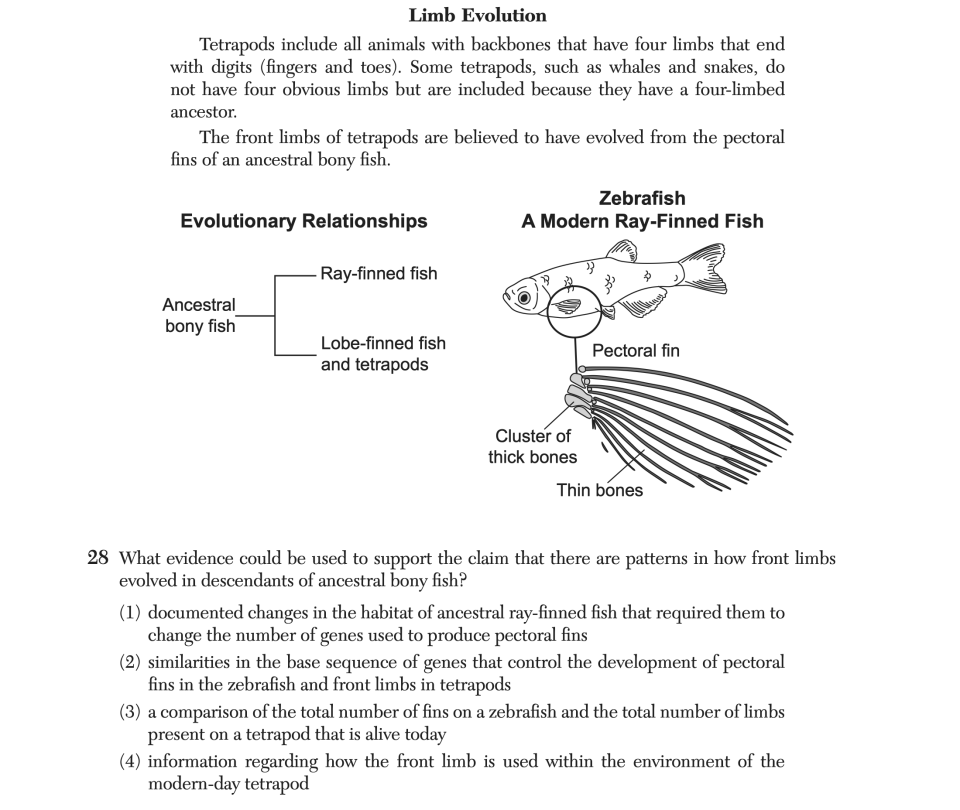 June 2025 Biology Regents question 28, Limb Evolution cluster