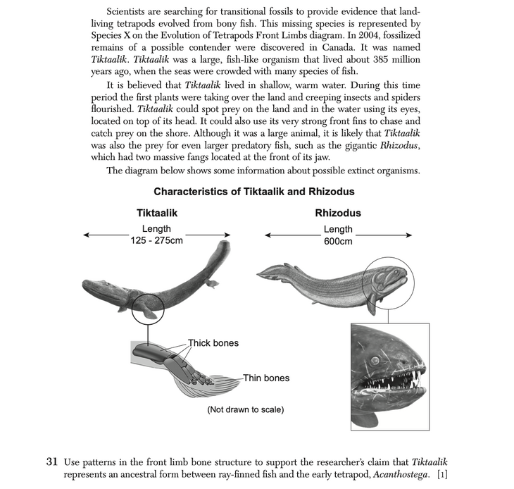Question 4