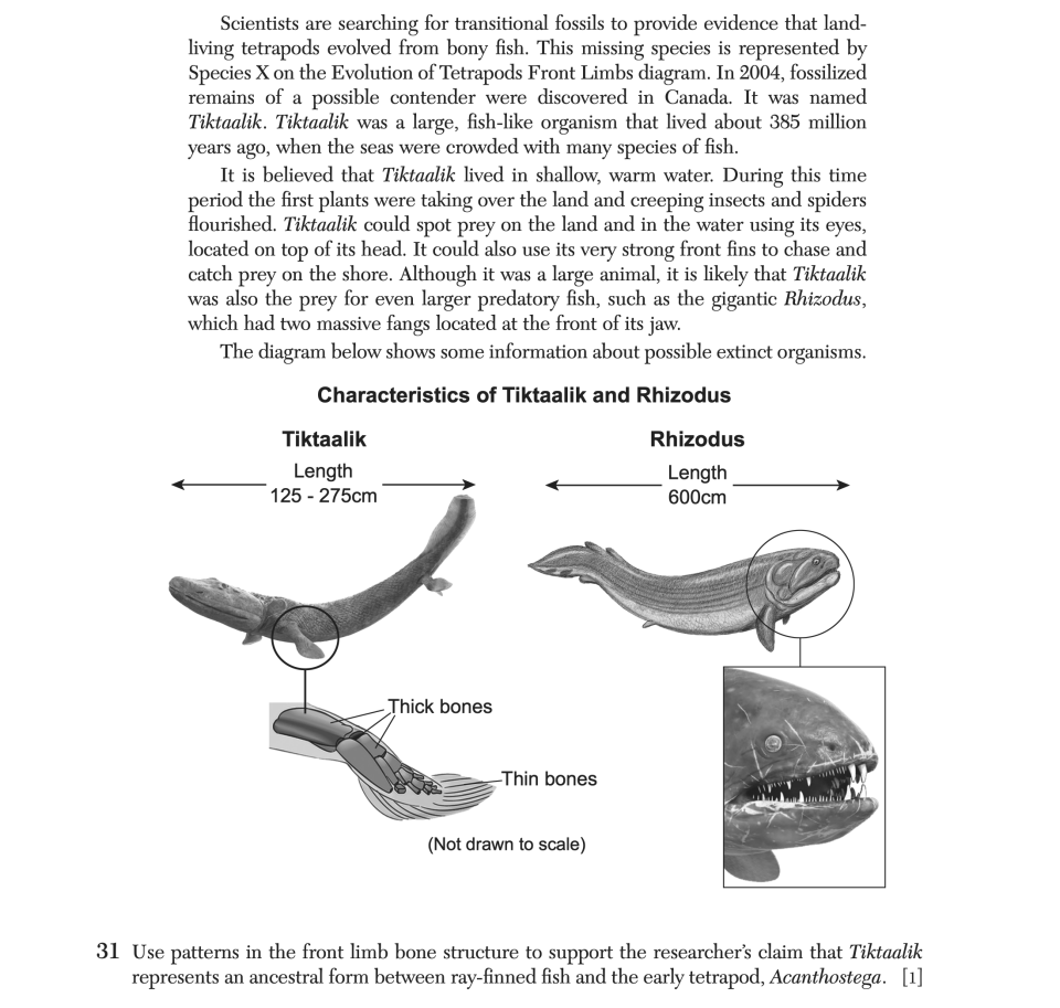 June 2025 Biology Regents question 31, Limb Evolution cluster
