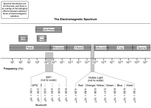 The Electromagnetic Spectrum (Physics).png