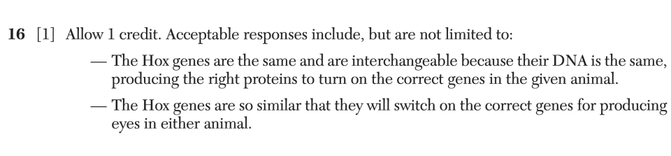 Answer key: June 2025 Biology Regents question 16, Heads or Tails? cluster
