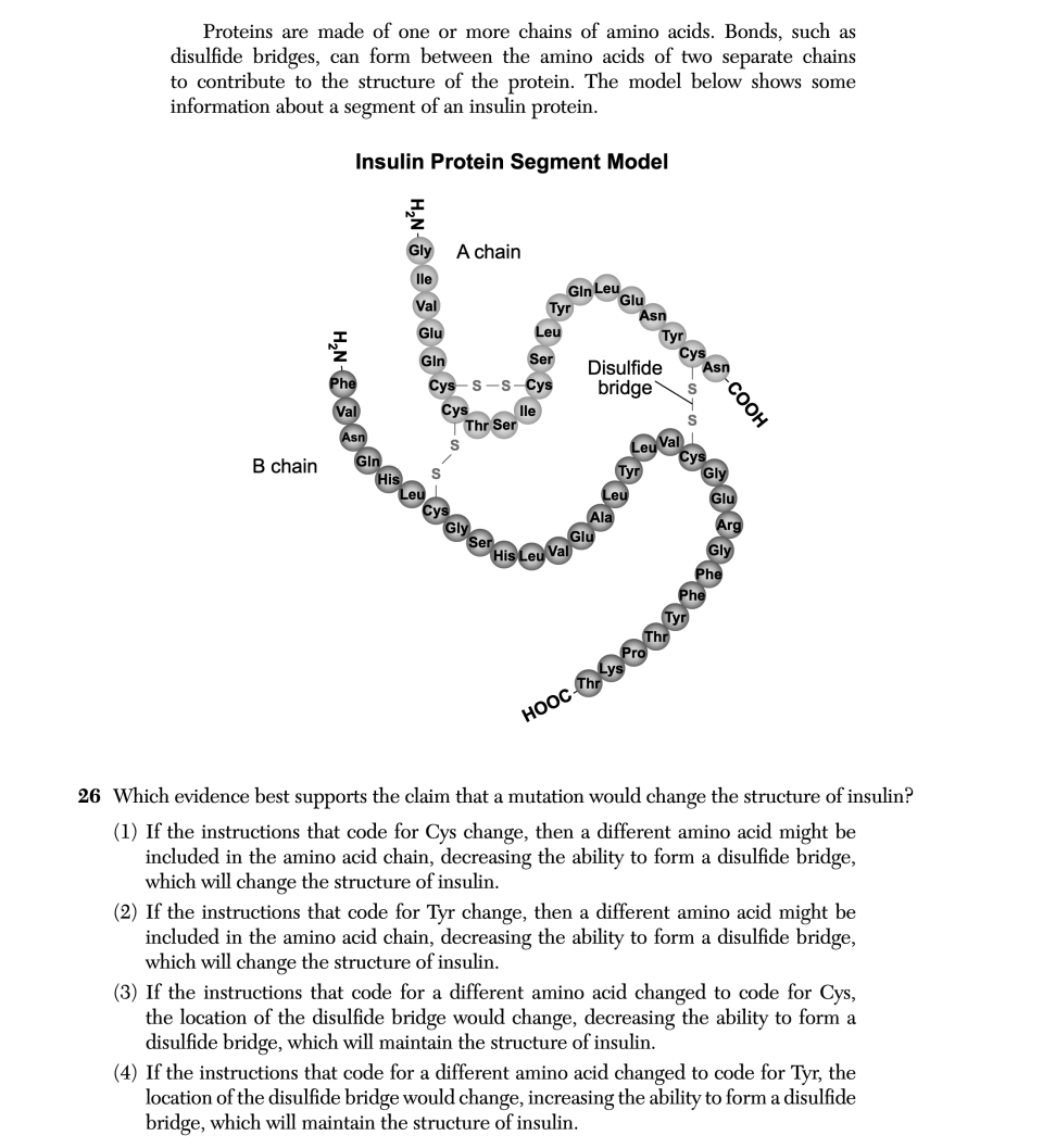 January 2026 Biology Regents question 26, Diabetes cluster