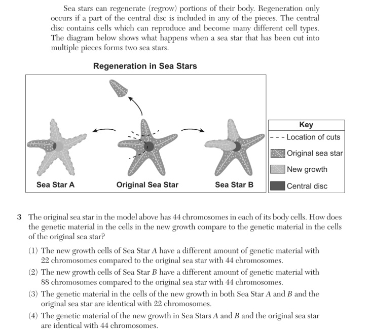 Question 3