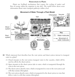 Biology Au26 30.png