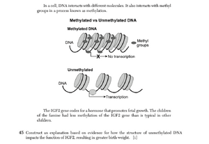 Biology Ju25 45.png