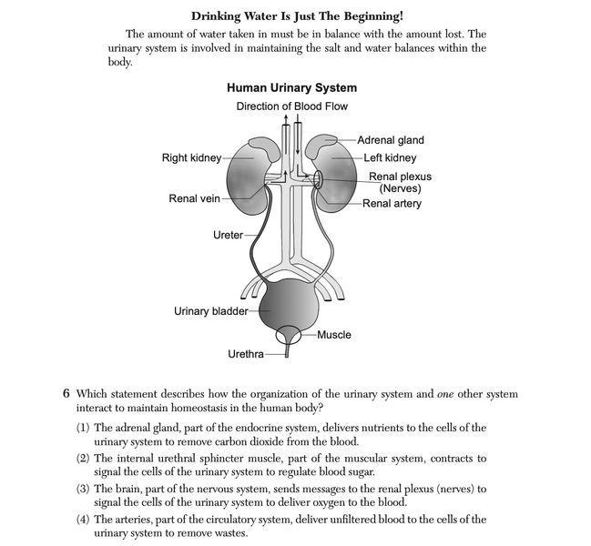 File:Biology Ju25 6.png