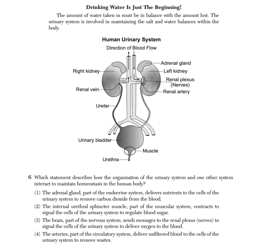 June 2025 Biology Regents question 6, Drinking Water Is Just The Beginning! cluster