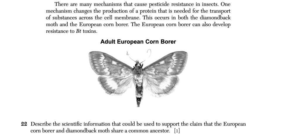 January 2026 Biology Regents question 22, A Hard Pest to Manage cluster