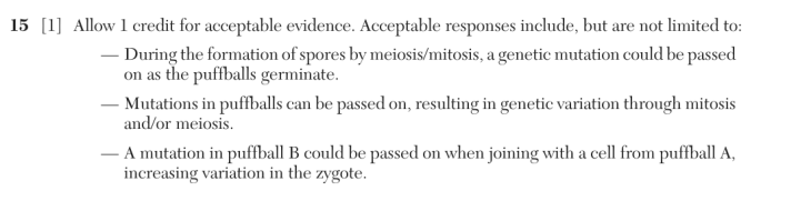 Answer to Question 3