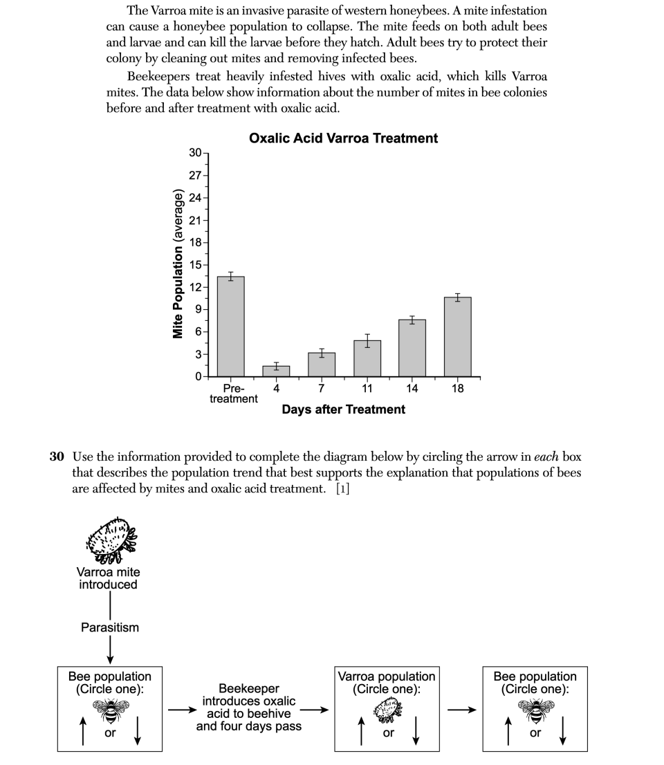January 2026 Biology Regents question 30, Honeybee Behavior and Threats cluster