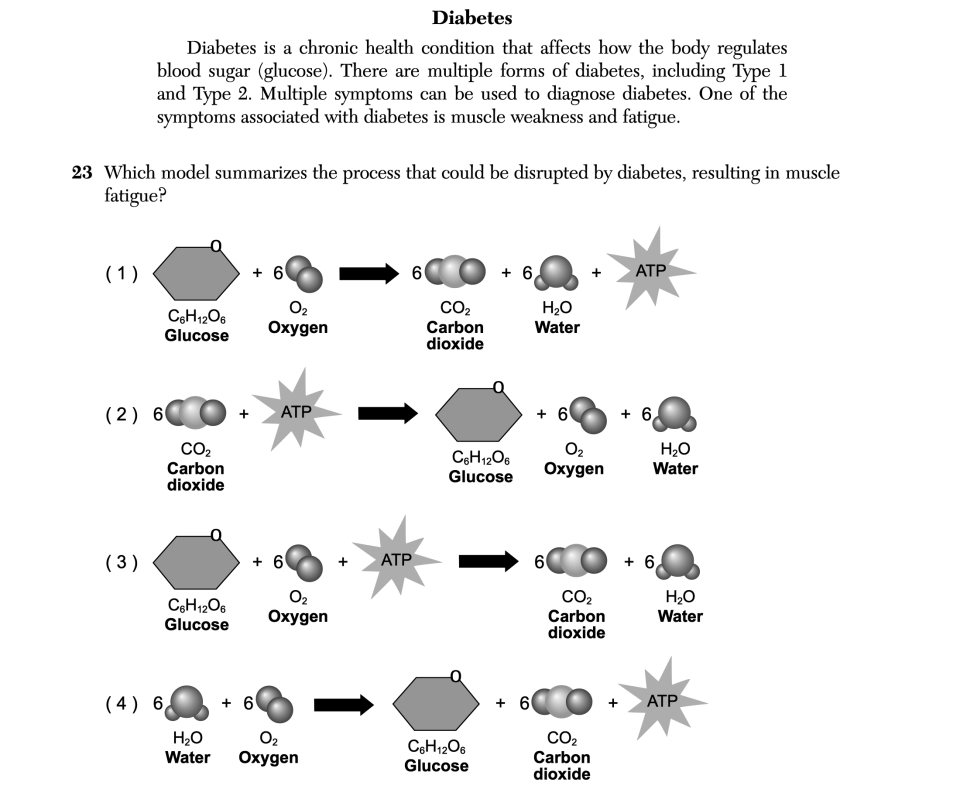 January 2026 Biology Regents question 23, Diabetes cluster