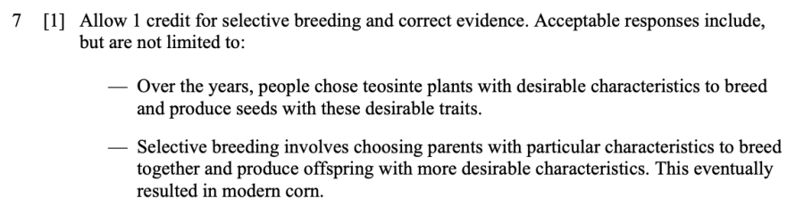 Answer key: Spring 2024 Grade 8 Science Test question 7, Variation and Corn cluster