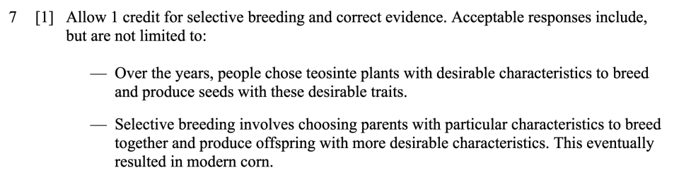 Answer key: Spring 2024 Grade 8 Science Test question 7, Variation and Corn cluster