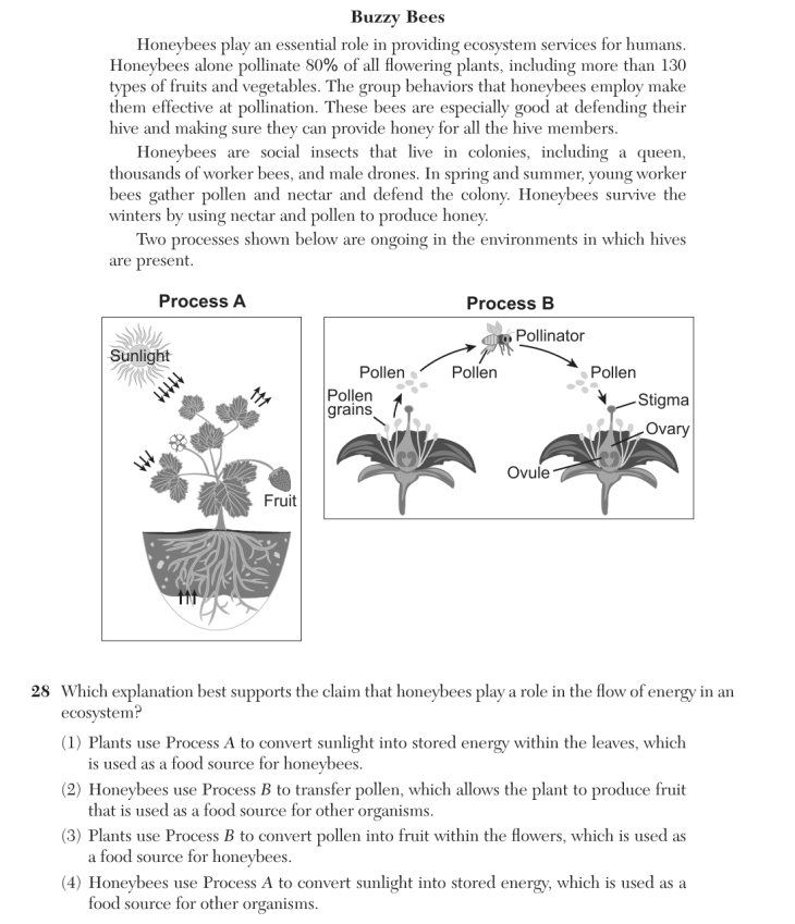 Question 1