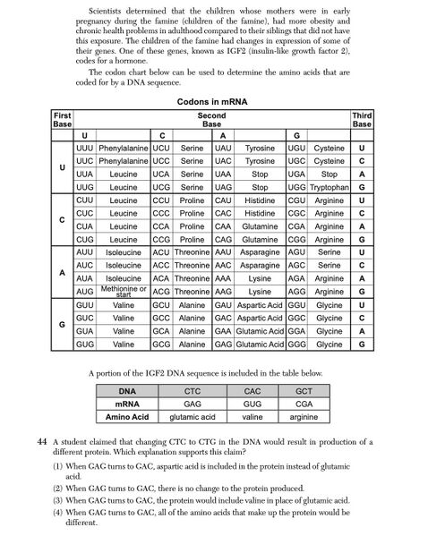 File:Biology Ju25 44.jpg