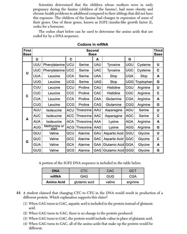 Question 2