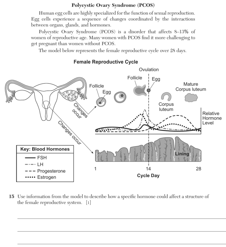 Question 1
