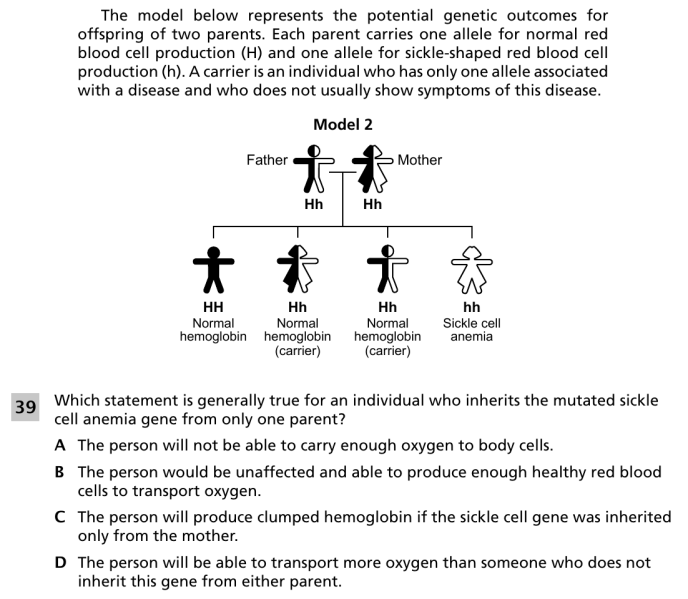 File:Sickle cell anemia 3.png