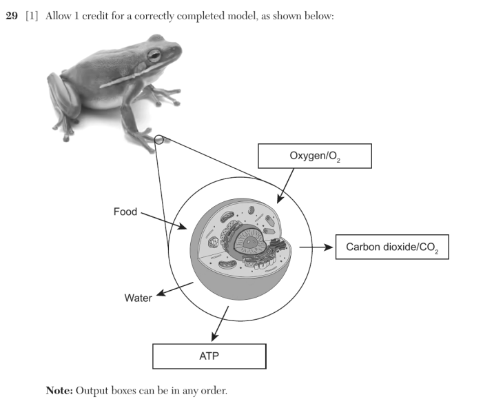 Answer to Question 4