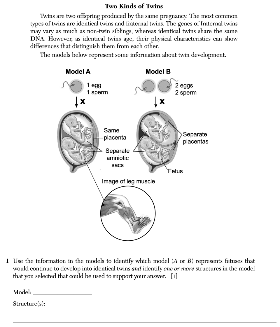 January 2026 Biology Regents question 1, Two Kinds of Twins cluster
