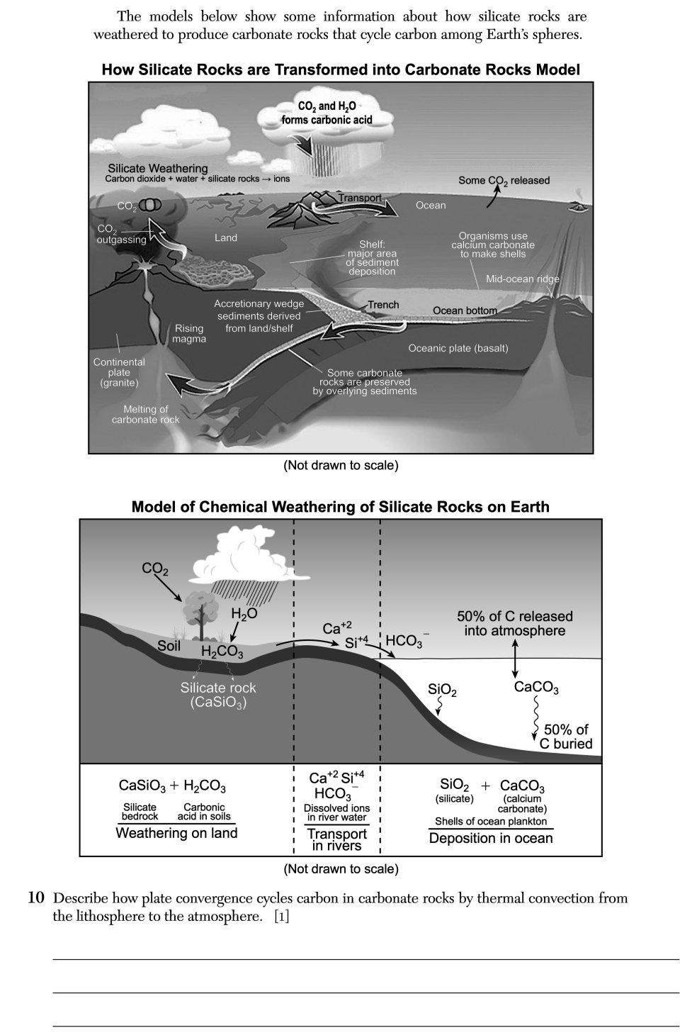 June 2026 Earth and Space Sciences Regents question 10, The Slow Carbon Cycle cluster