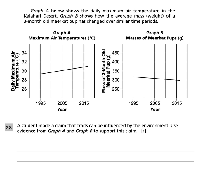 File:5-6 Meerkats Question 28.png
