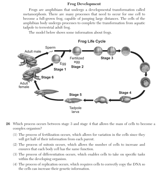 File:Biology Au26 26.png
