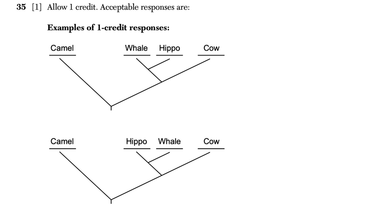 File:Biology Au25 35a.png