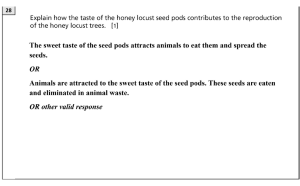 Spring 2026 5-6 Question 28 Answer.png