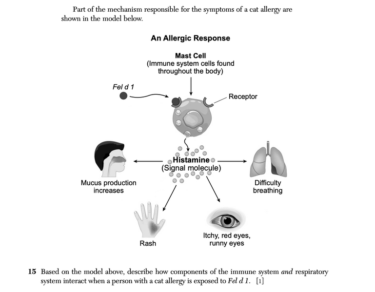 File:Biology Ja26 15.png