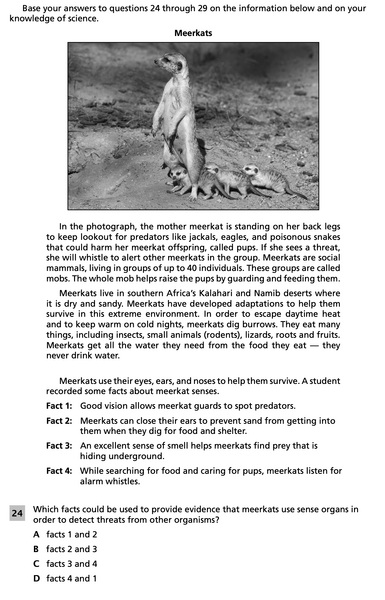 File:5-6 Meerkats Question 24.png
